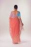 Noksha Embroidered Half Silk Sari