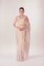 Dragonfly Embroidered Half Silk Sari